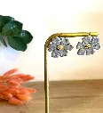 Flamboyantes Gris Fer
